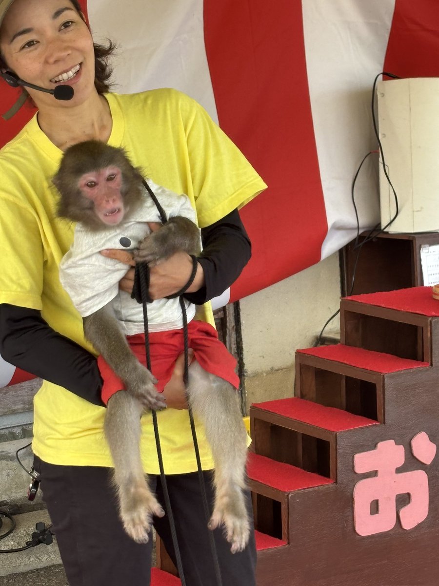 Shutamu6217's tweet photo. リアルディディーコングショー https://t.co/DyIBgCfzyv