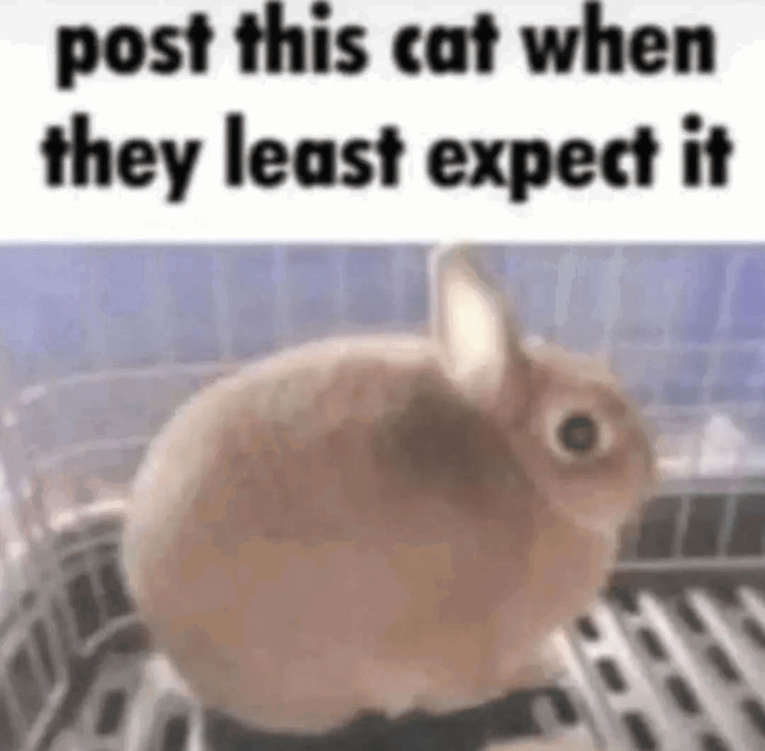 Simulcats's tweet photo. https://t.co/atrS5DKnTV