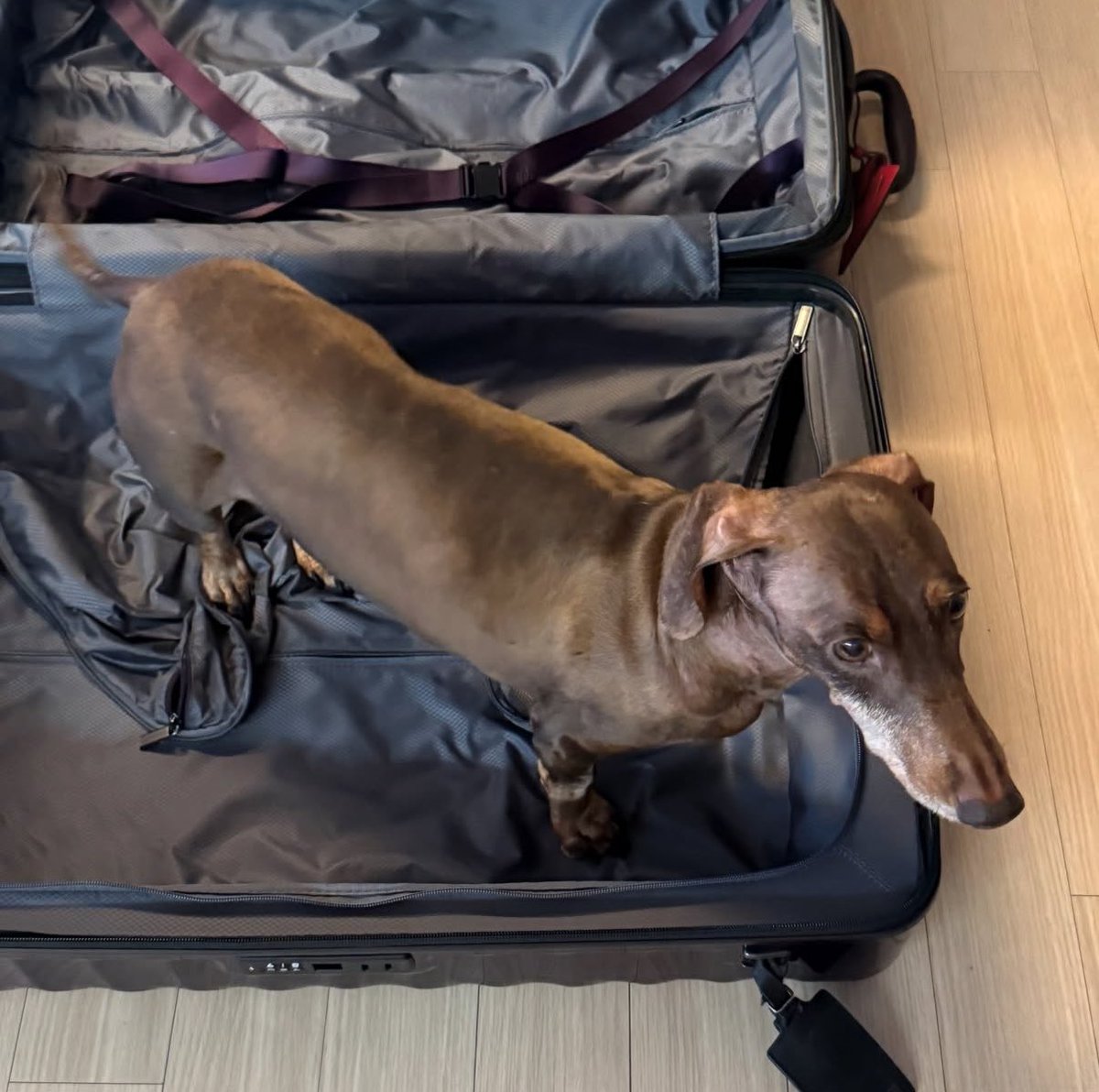 aomgh1ghrarea's tweet photo. Oscar didn’t want Jay Park to leave for 2 month tour 😭💔 https://t.co/R5ToXexoIj