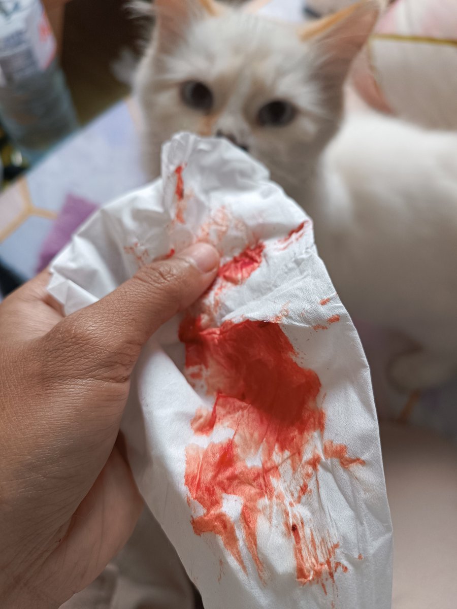 devigtw's tweet photo. Pagi² bangun tidur kirain ingus, ternyata yg kluar warnanya merah 😭 tp ngga mimisan https://t.co/NQnoXouJ4o