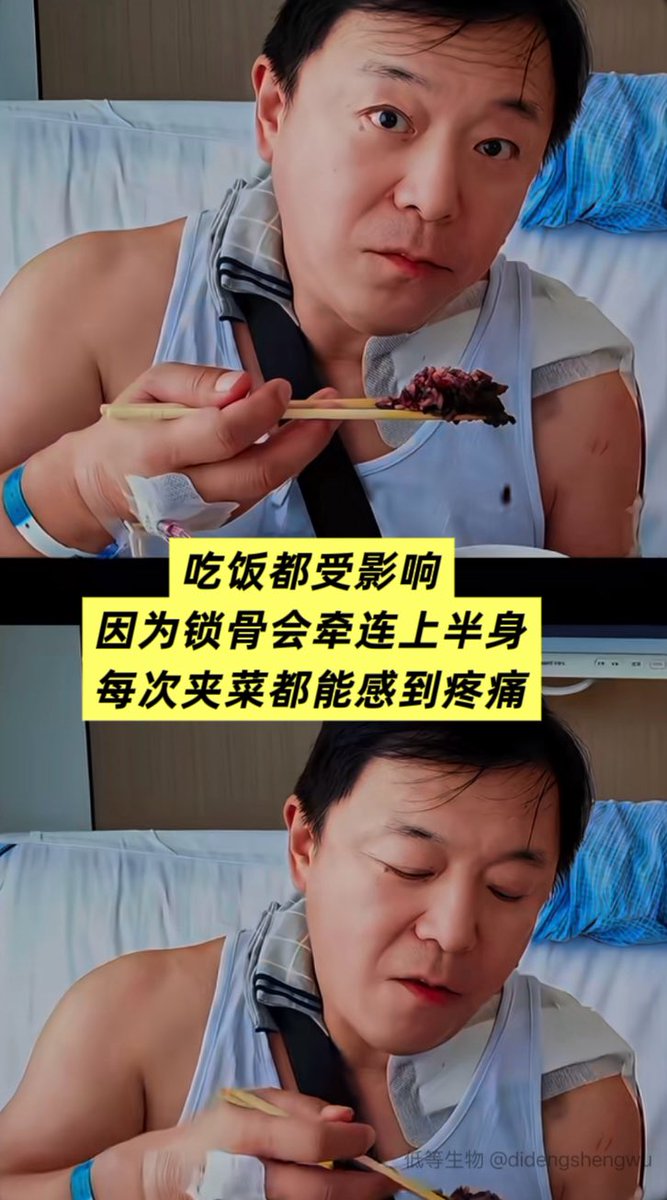 低等生物 的图片 4