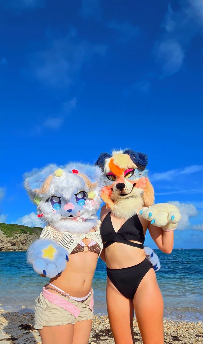 indiecolliee's tweet photo. puppies at the beach 🌊🌴
wanna catch some sun with us? :3 https://t.co/cnHJX6p4VO