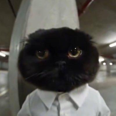 GraceCTOPons's tweet photo. I hope you see the effort we are doing here @0xnobi 

no fees and no supply to you on other just isnt right

we want a proper Grace

lets claim and get this rolling!

much love to you! https://t.co/unemtJX1lp