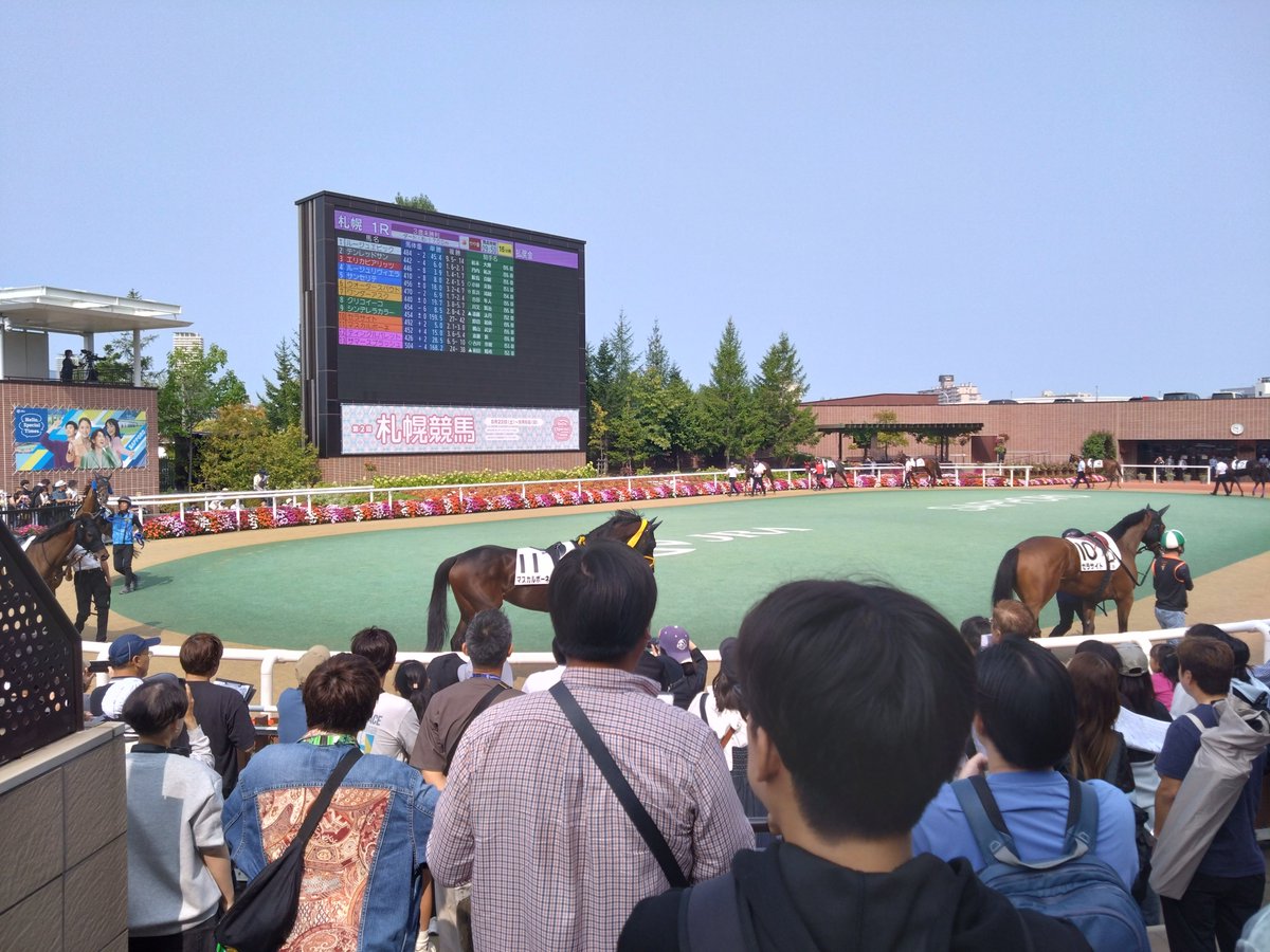 koyanon31's tweet photo. おはようございます✨

朝からクリコイーコさんと、マスカルポーネさんです✨

今日もスペっ子がんばれ🙌 https://t.co/Q2BPz2xVTO