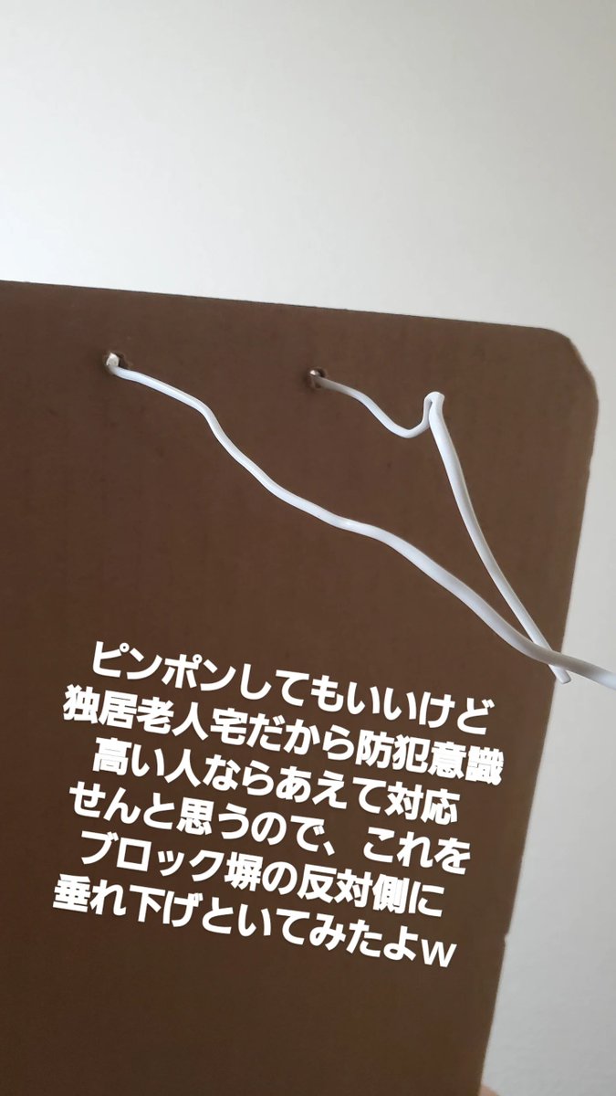 sissyryuka_2nd's tweet photo. たぶん実ることのない🍅に簡易ビニ.ール.ハ.ウ.ス設置してるときに…ちょーど壁と塀の間に☂️置けたからラッキーと思ってたのにこのザマです😇ｗ https://t.co/g1v0d8prWS