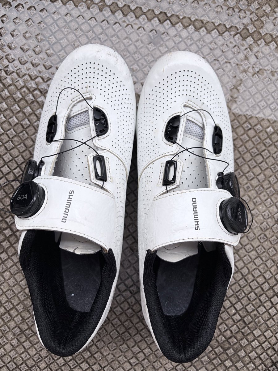 1977spike's tweet photo. ダイソー商品で白を取り戻す👟✨
やっぱり新品の白さには戻らないけど、これはこれでかなり白くなった気がする！ https://t.co/XvMKFBmAxT