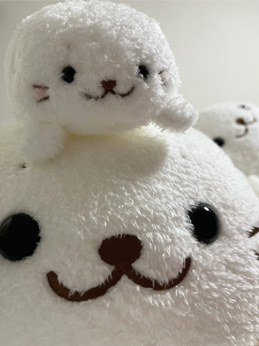meltymofu's tweet photo. メルティず https://t.co/dNHUm6CmJz
