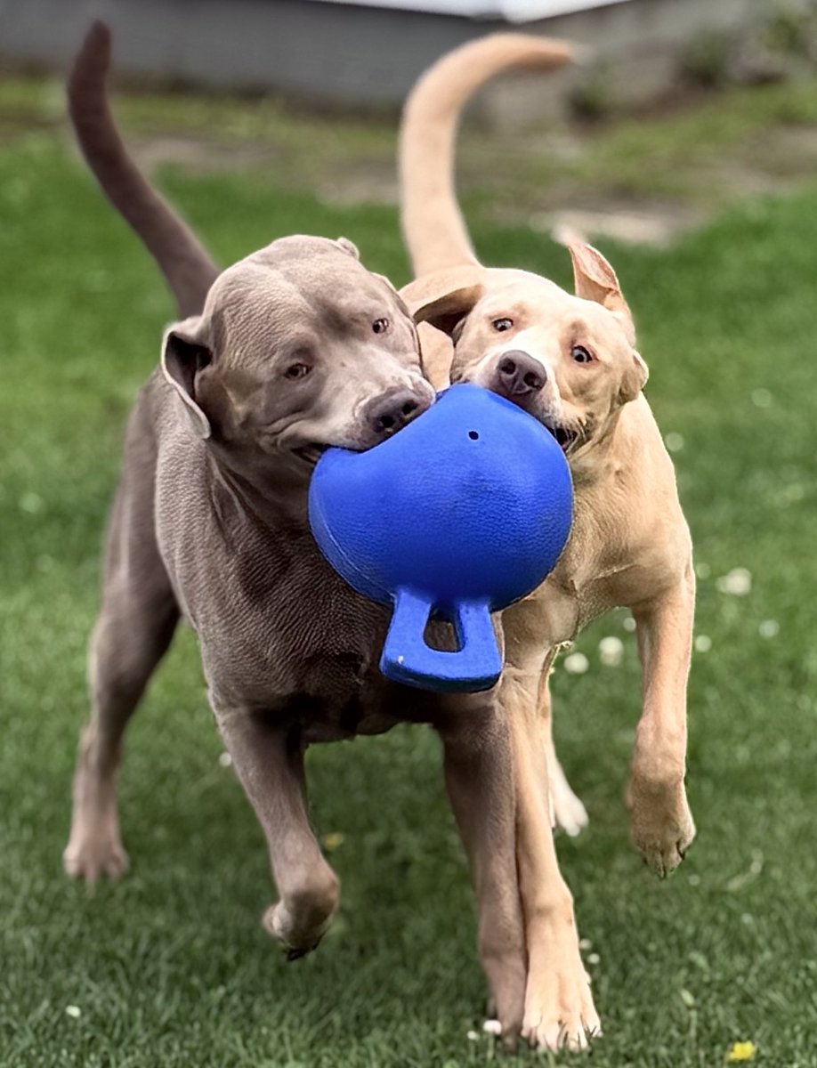 jakesilverlab tweet picture