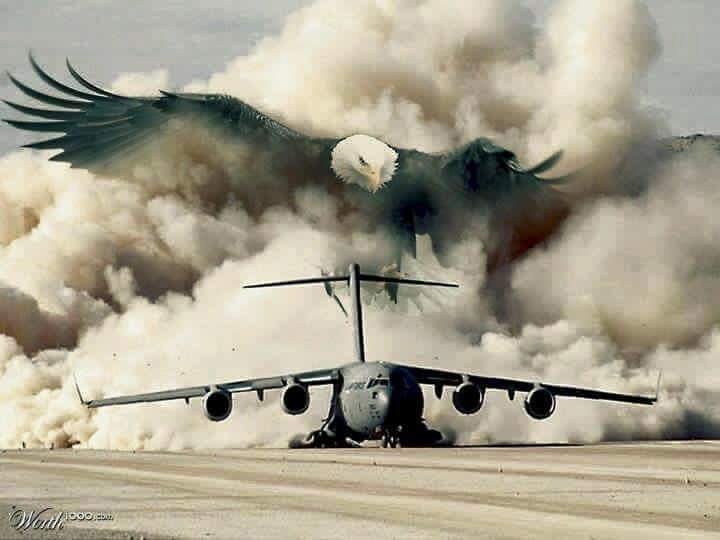 TimelineGuard's tweet photo. @codeofvets https://t.co/yCvKtwZprU