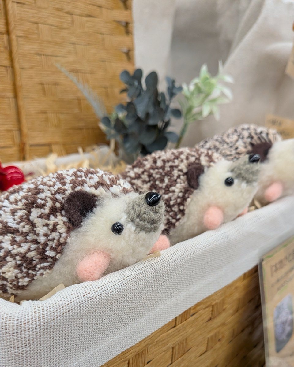 chikutto_hm's tweet photo. 昨日の東京ハンドメイドマルシェ🍁
元・現ハリ飼いさんや、「可愛いな〜！」と興味を持って立ち寄ってくださった方、フォロープレゼントへご参加下さった方、皆様本当にありがとうございました🦔💕

​次回出店はデザフェス！
さらにハリネズミ感ましましが目標🤭
ぜひ遊びに来てもらえたら嬉しいです✨ https://t.co/OlbX52MvUV