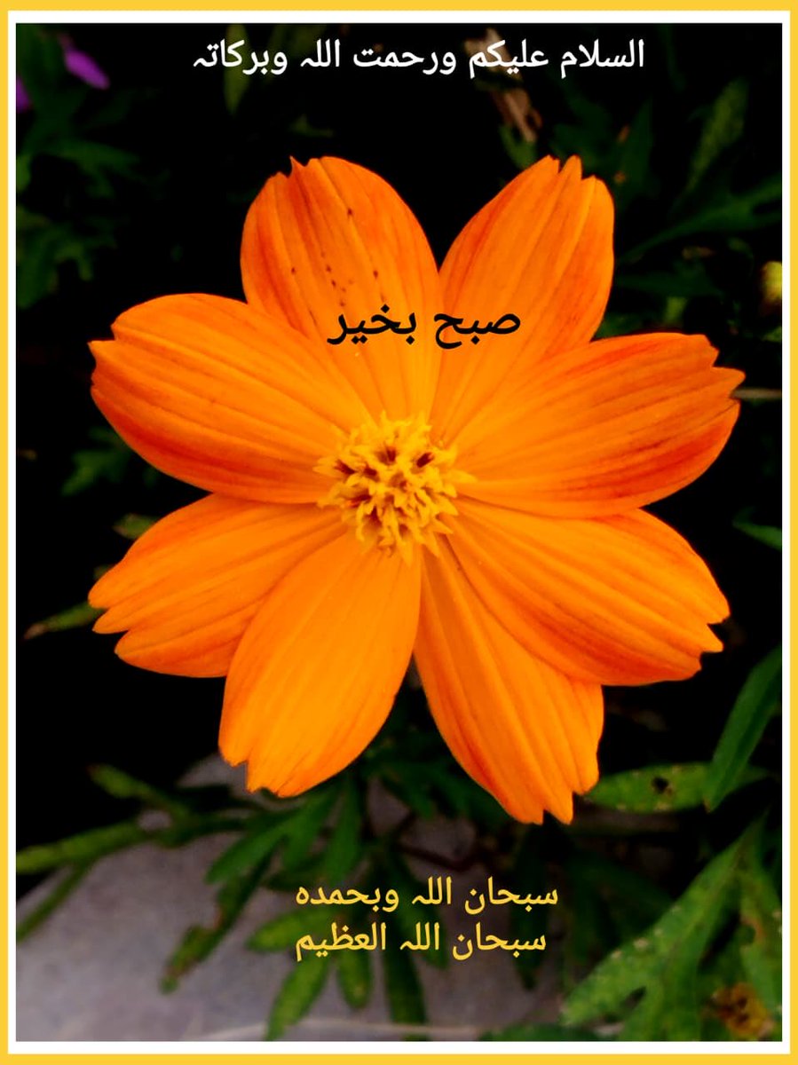 zahidBK's tweet photo. اسلام علیکم، صبح بخیر https://t.co/i8161qzDhU