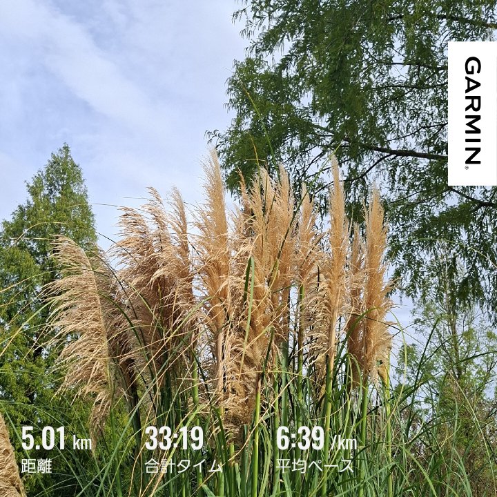 chi_from_osaka's tweet photo. #ランプラ 5㎞

ゆっくりめの7時台スタート🏃 薄曇り26℃、湿気多いのか汗だく。
マラソン遠征で乗り換え駅にスーツケース置き忘れてきて詰んだーというところで目が覚めました。気をつけよー https://t.co/9fvXrxhLUR