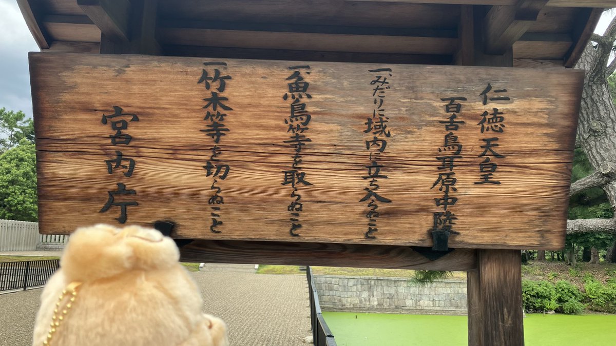 obshbrs's tweet photo. ②初めての生の古墳編 https://t.co/p2edDrlz04