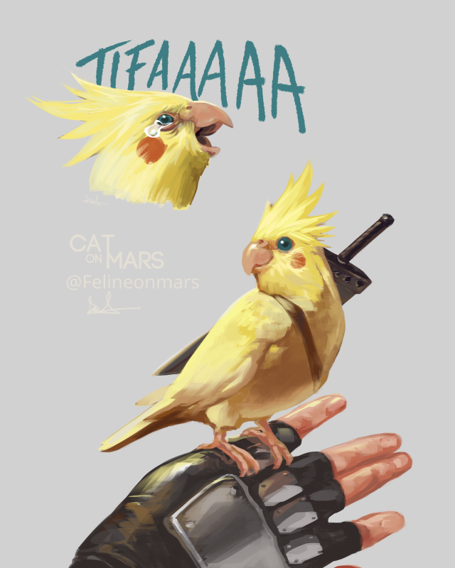 FelineonMars's tweet photo. So, I saw a cockatiel screaming and remembered certain Rebirth scene with Cloud and Tifa. 
I'm doing this while my WIPs pile up (ദ്ദി˙ᗜ˙)

#ff7 #クラティ #ティファ #doodles https://t.co/8Pc2oXGjii