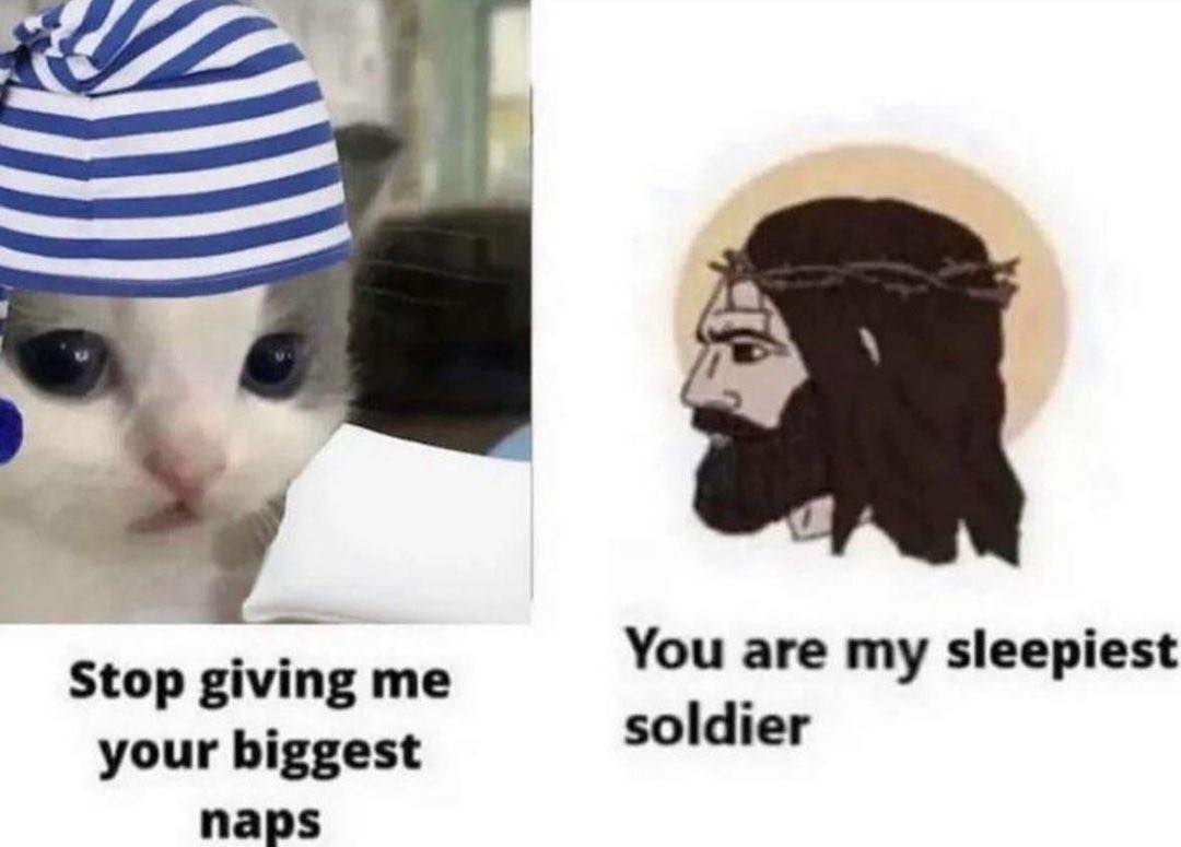 PunchingCat's tweet photo. https://t.co/v4uLb1y5pu