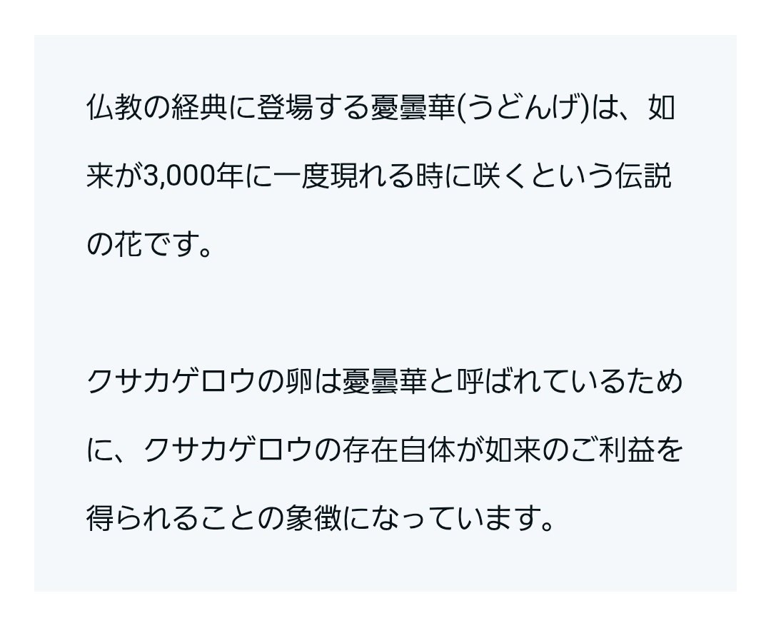 369honobo_no358's tweet photo. クサカゲロウは
幸運や浄化、新しい事のはじまりを
象徴する存在と言われてるらしい🧚‍♀️✨

クサカゲロウの卵は
【優曇華(うどんげ)】
（如来が3000年に１度に現れる
時に咲く伝説の花）と呼ばれている
事から

如来の御利益を得られる
象徴となってるって💖

お福分け～🧚‍♀️✨

#クサカゲロウ
#如来 https://t.co/h1QaEaI7Q6