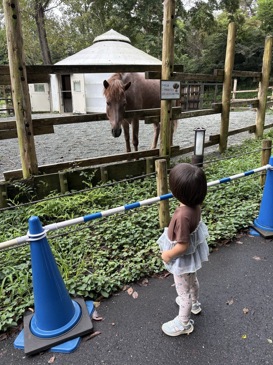 COCOROE_S's tweet photo. ガチャガチャは5種類なら
1/5の確率だと言っていたのは
間違えていた🤣

欲しいものは
既にない、転売先を探せ
乱世‼️ https://t.co/uaaWLpDCn2