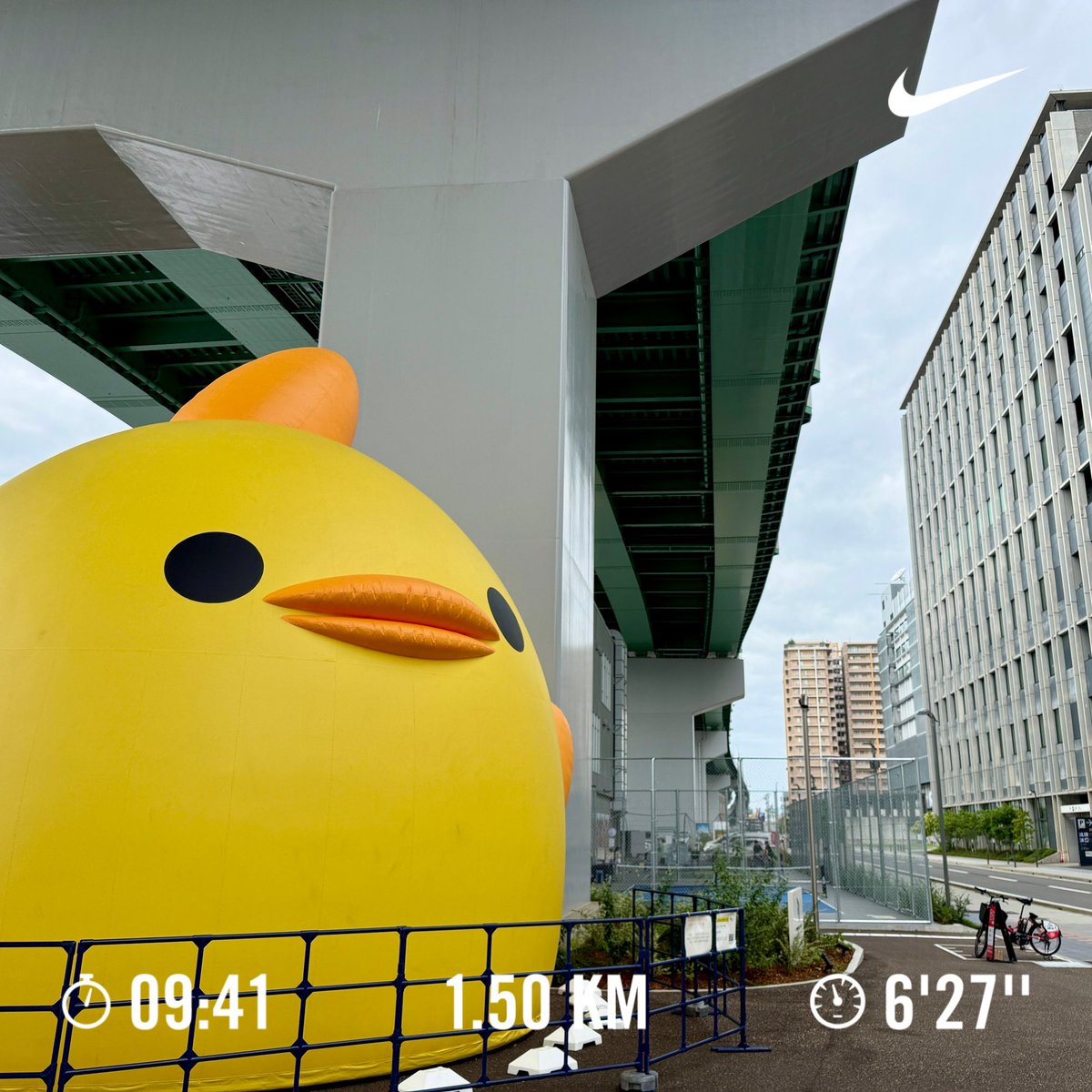 torii_han's tweet photo. #千朝迷走

でっかいピヨりん見つけました🐣
でっかくても可愛いなぁ😗

#朝ラン #連続 #1462日目
#チャレンジ #継続は力なり https://t.co/MHqFWEuarU