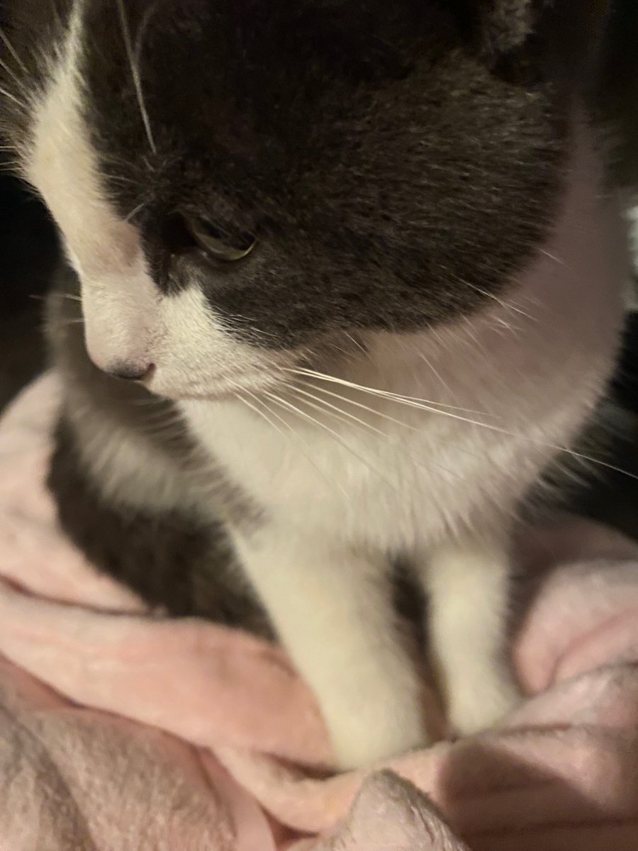 kittyyjin's tweet photo. life outside twitter ˚⋆ https://t.co/x3boKCTxlF
