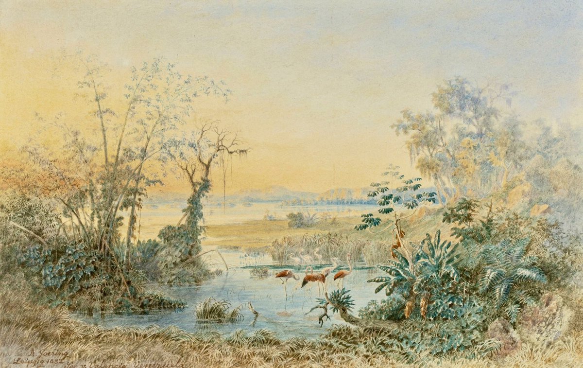 nissnickmich's tweet photo. Lago de Valencia, Venezuela (1882). Obra del artista alemán Anton Goering #arte #pintura #lago #valencia #venezuela #vzla #curiosidades #5Sept https://t.co/Y05OYDRzuh