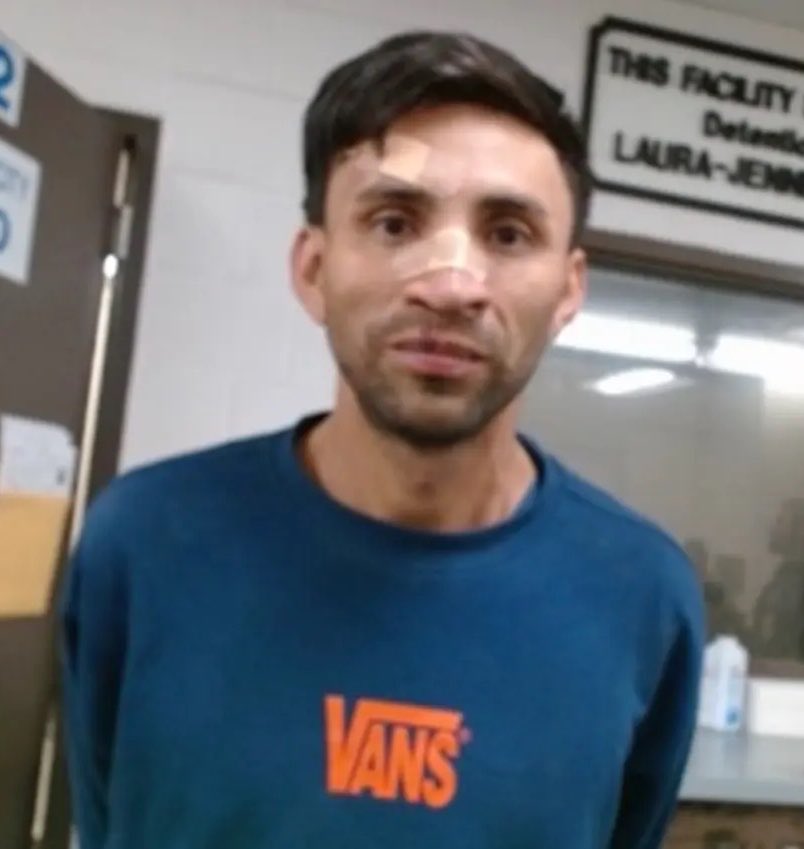 libsoftiktok tweet picture