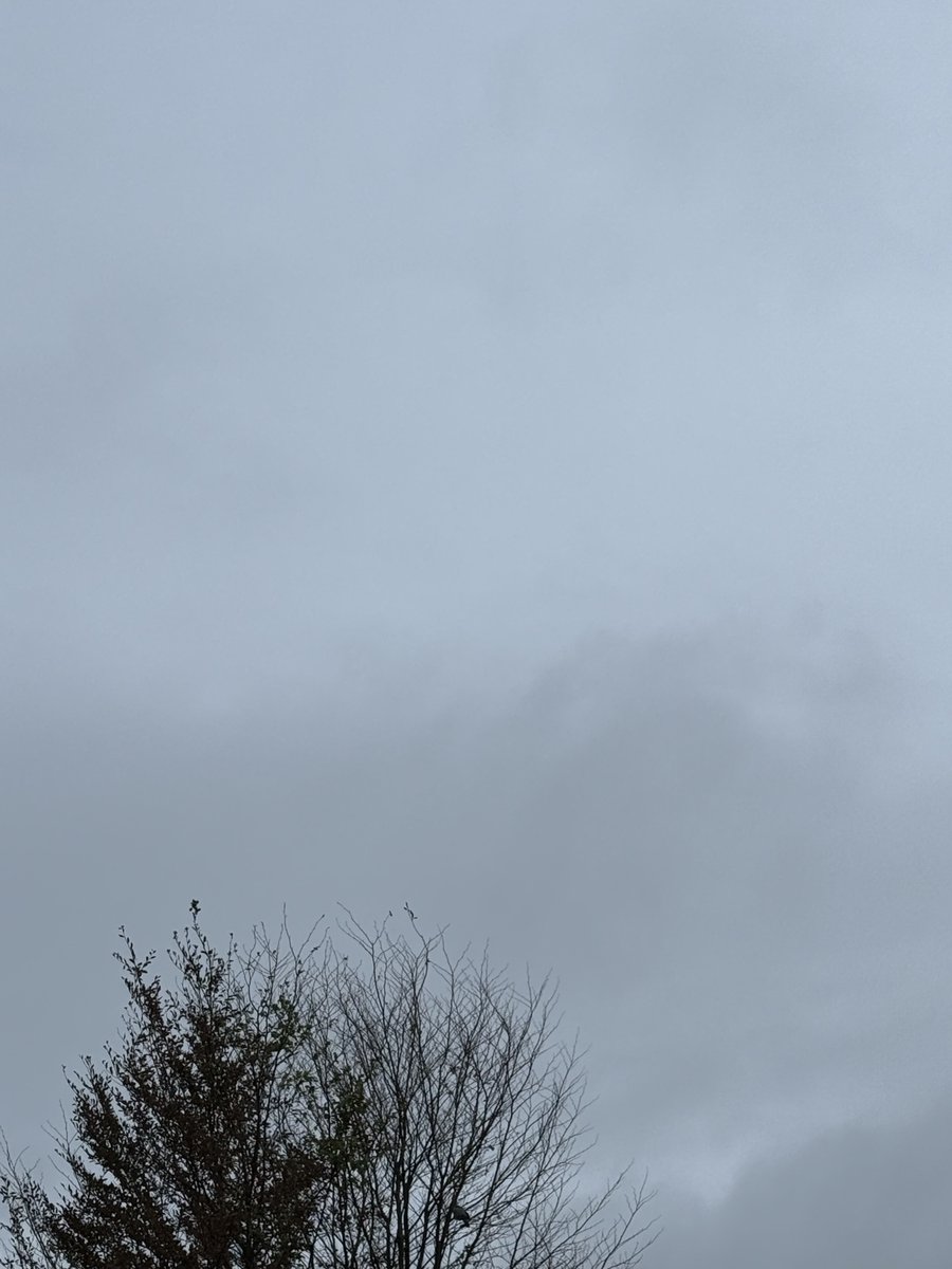 MacFrisbee's tweet photo. Himmel über dem Rheinland https://t.co/vJcI97nfCS