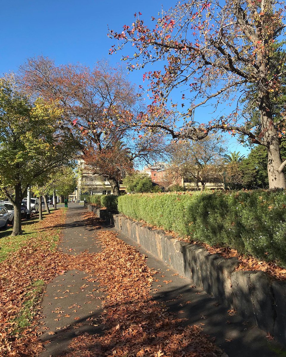 wilianplc's tweet photo. Same walk, fewer leaves. Winter is coming! https://t.co/DUGegv2WXV