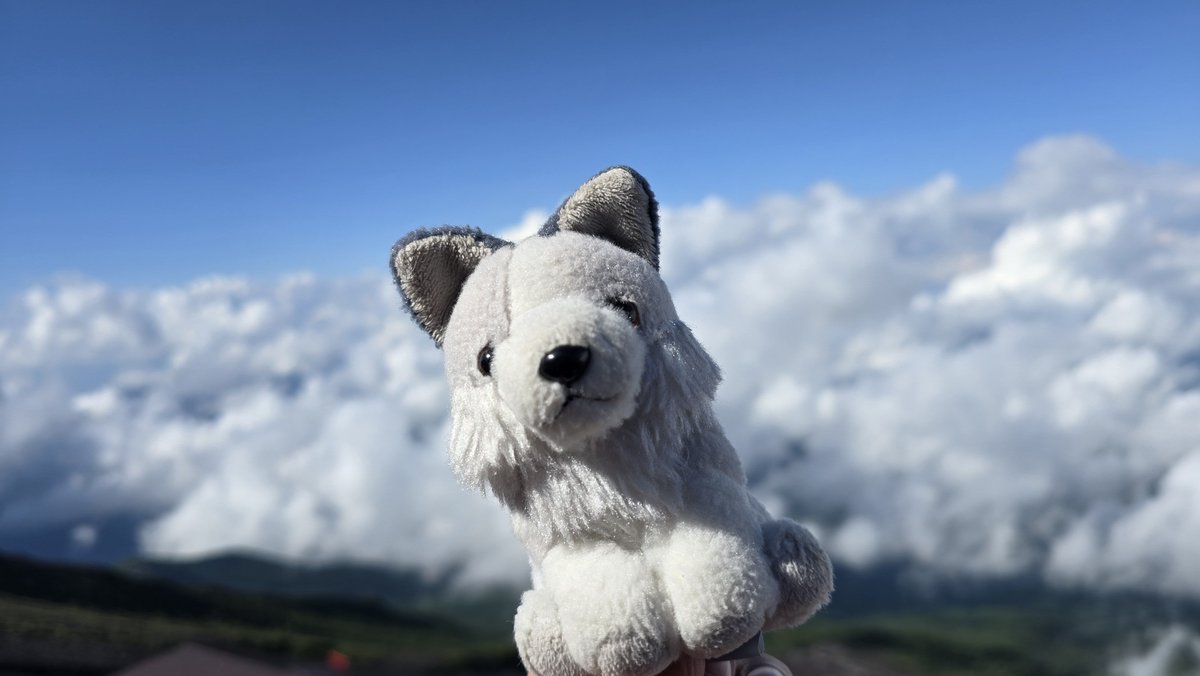 ___tigre___'s tweet photo. This summer vacation I went climbing Mt. Fuji with friends🐺⛰️
We were not able to reach the summit, so I’ll try again next time🐺⛰️

The next day I toured hot spring areas near Kamikochi♨️ https://t.co/igDj6picJU
