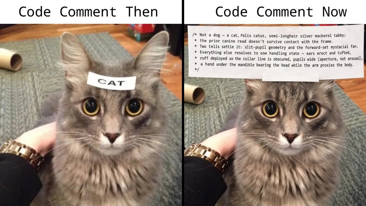 harryfiedwrld's tweet photo. Code comments nowdays  be like https://t.co/hVL7tFlZY2