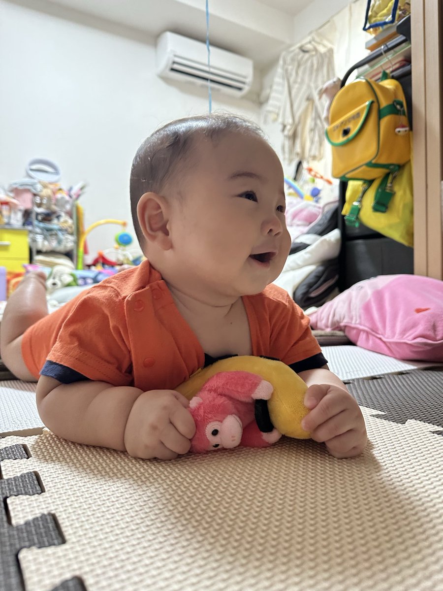 yuuringo0820's tweet photo. 4000円のゴリラ🦍🤣🤣🤣 https://t.co/q4yBA1u5b0