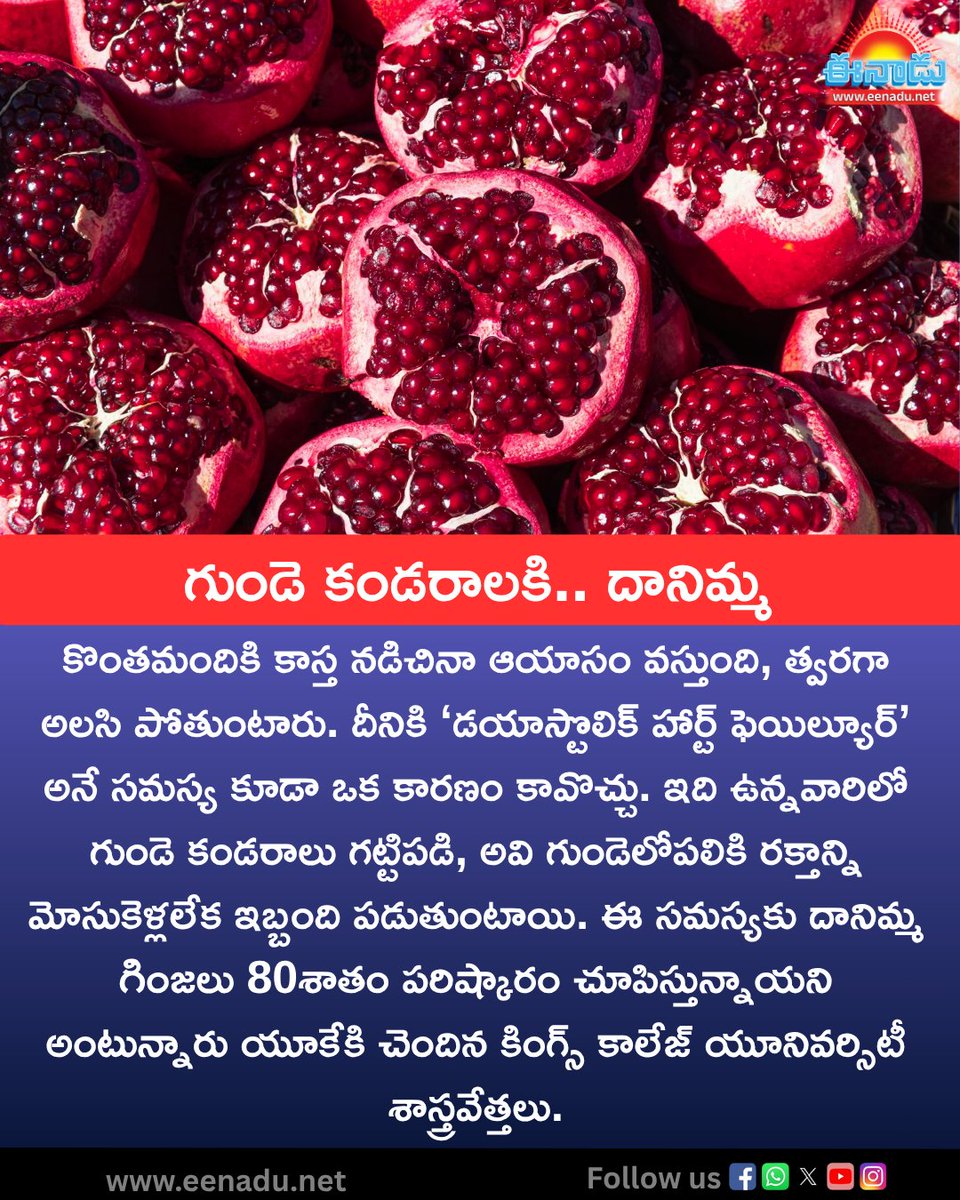 eenadulivenews's tweet photo. https://t.co/lMu5PgtAB0