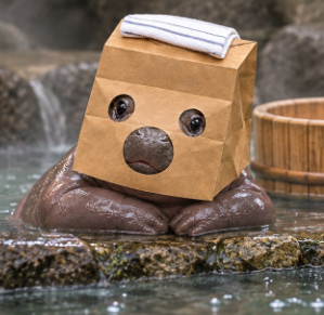 AnonymDeng's tweet photo. The cutest anonymous creature on Solana just showed up. 🦛📦
Paper bag. Big eyes. Zero explanation.
That’s the whole vibe of $ZDeng.
CA: EXYFNSA8VjasYqiWBqVcjcWacGPJJiQjjEPfekLYpump
#ZDeng #AnonymousMooDeng #Solana #MemeCoin https://t.co/1V6TeKvCh8