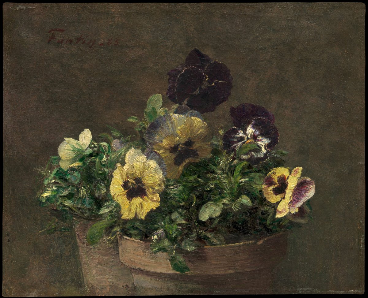 artistlatour's tweet photo. Potted Pansies #artbots #latour https://t.co/sYKJWdEZA6
