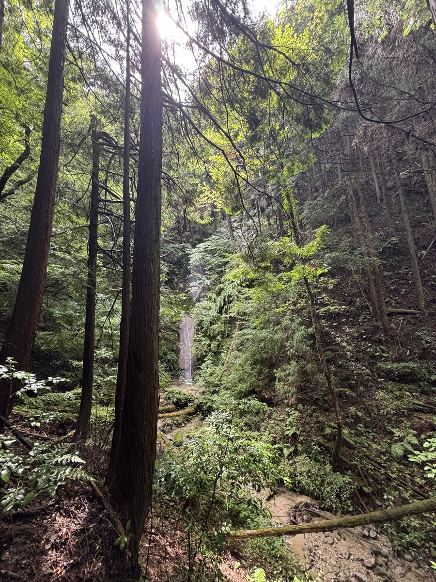 msktmr0816's tweet photo. 金剛山 徘徊⛰️
25km  5時間55分

登ってたら知り合いと会いまくり
こんな日もあるんやな😆

タコパ🐙に招待までしてくださって
ホントに楽しかったぁー���

#金剛山
#ツツジオ谷
#タコパ https://t.co/taYE8xNqMG