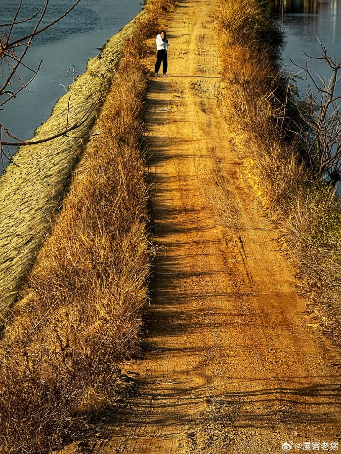 MarenDoornbos's tweet photo. Growth isn’t about never falling—it’s about getting up one more time than you stumble. Every small step back turns into a stride forward. https://t.co/GizyUhJHeG