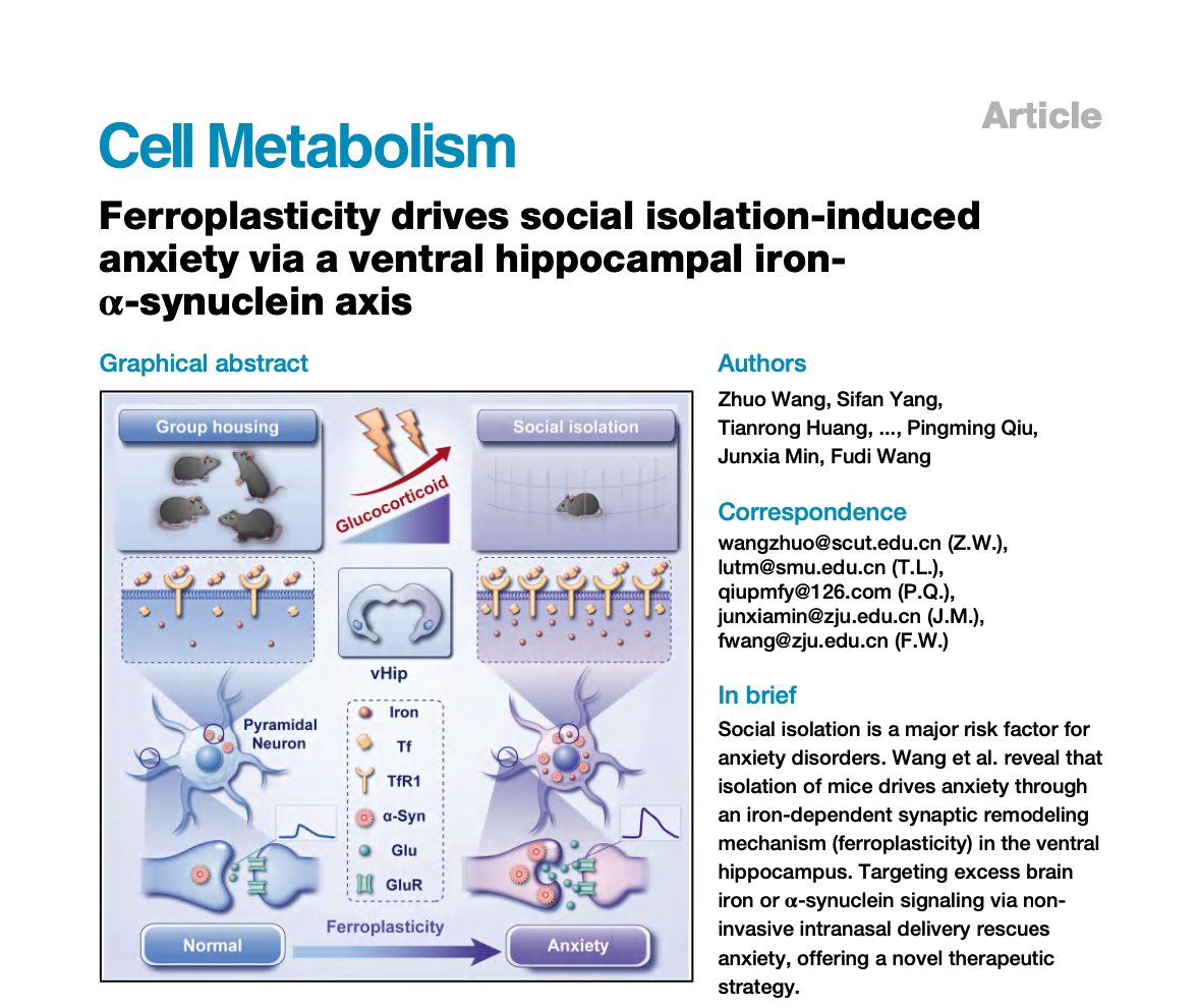 fudi_wang's tweet photo. Great honour! Our ferroplasticity work @Cell_Metabolism  receives two independent expert highlights.✅ Dr. Ashley I. Bush https://t.co/4ih3Nukxse
✅ Dr. Sonia Levi et al. (@Trends_Endo_Met ) https://t.co/yytBFUR5XT
Article: https://t.co/ZrVqbuD6Qk
#Ferroplasticity #Anxiety https://t.co/Apu4wgjPTH