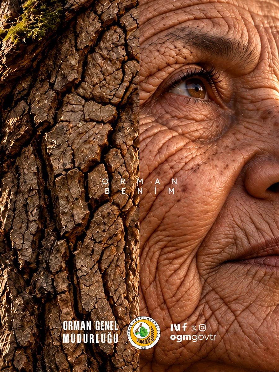 OGMgovtr's tweet photo. 🌳 Ben ormanım, orman benim.

Onu korursam yalnızca ağaçları değil; kendimi, çocuklarımı ve yarınlarımı koruduğumu bilirim. 🌱 https://t.co/sANvnt61y8