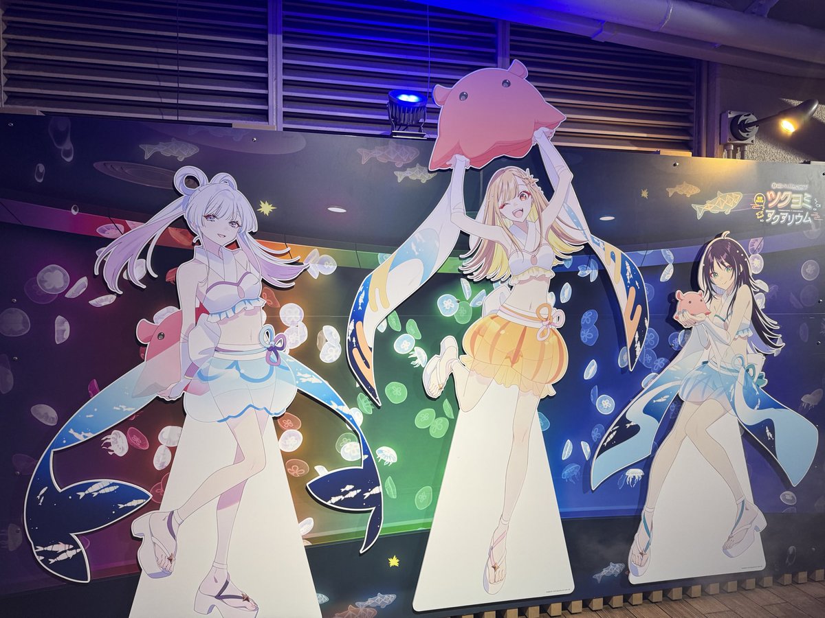 y_88_'s tweet photo. 8月③ https://t.co/XSBZTYS8Jy