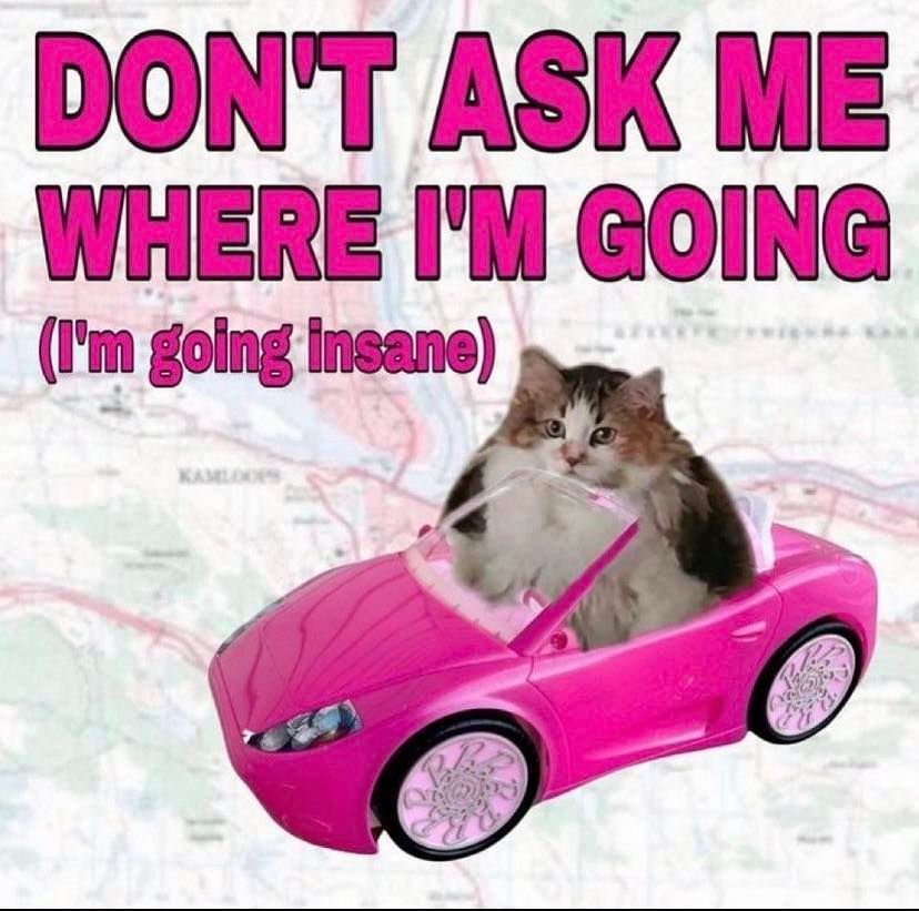 PunchingCat's tweet photo. https://t.co/Ln4VCS64CK