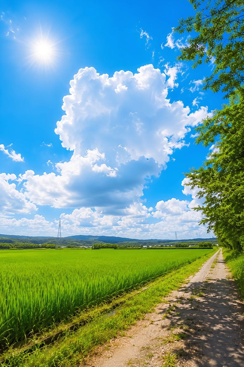 _ai_nature_art's tweet photo. 田んぼ道って歩きたくなる🌿
稲が色づく前の緑も、あと少しですね🌾☁️ https://t.co/dX46KxA4ia