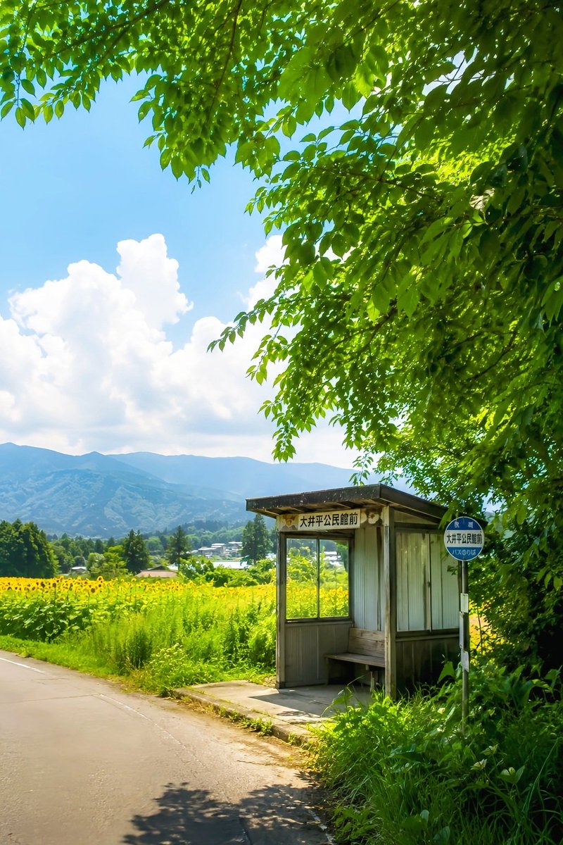 _ai_nature_art's tweet photo. 田んぼ道って歩きたくなる🌿
稲が色づく前の緑も、あと少しですね🌾☁️ https://t.co/dX46KxA4ia