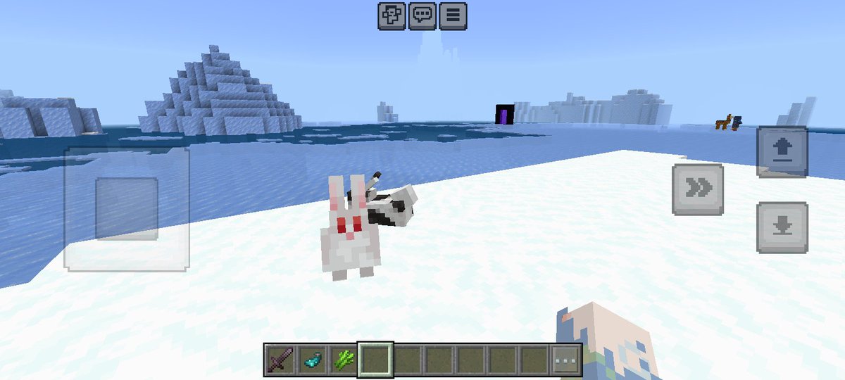 cheguennie's tweet photo. eu estava no modo criativo no minecraft e me deparei com coelhos gordos apos colocar vários axolotes no nether https://t.co/4UgXSxwVTw