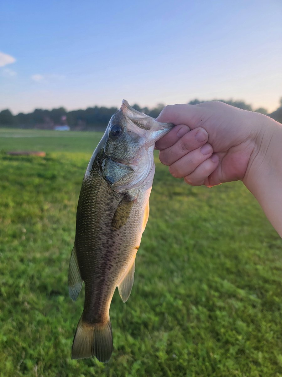 dondeer0019's tweet photo. Looking for mutuals!! 友達探し中
Donnie-26-he/him-usa
Love: languages, fishing, hannibal, hiking, beer, thrillers, NIN, folk clothes/arts
Learning: shamisen, fly fishing, japanese, spanish, norwegian
Minors and shedtwt dni!
#hannibaltwt #ハンニバル https://t.co/TMgP5RnoRJ