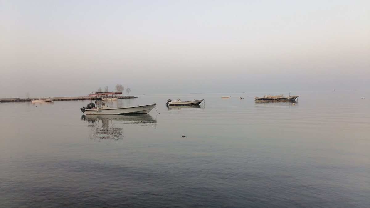 Majed60582791's tweet photo. اللهم إنا نسألك صباحًا يتجلى فيه لُطفك، ويتسع فيه رزقك، وتمتد فيه عافيتك، ونستفتح فيه برحمتك .

  #صباح_الخيـر https://t.co/7ZAxBwiG9d