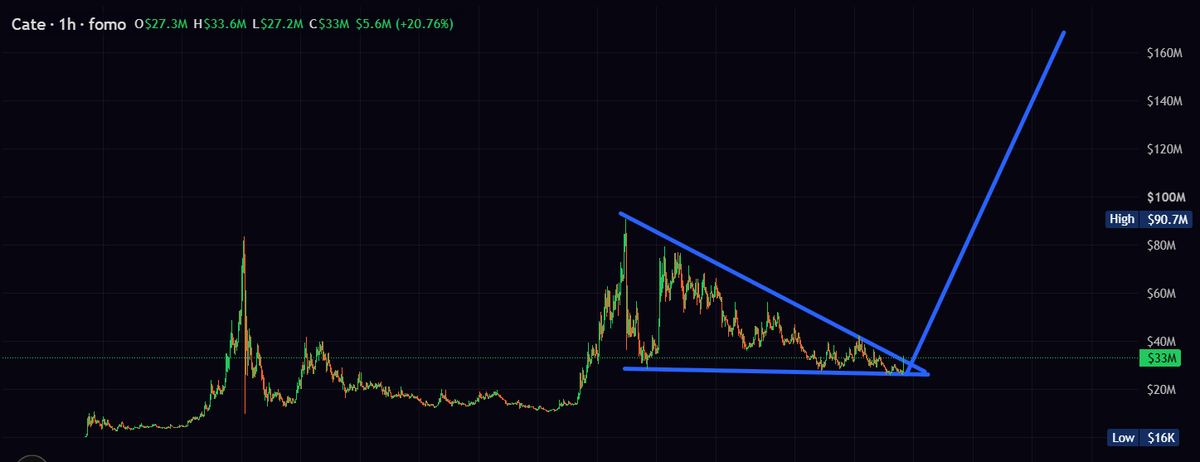 MoEthWhale's tweet photo. Finally, @PoorGoat_ switched the most hated $CATE rally back.

ATH breakout incoming cat(e) army... 🐈 https://t.co/8MqIIQ81oJ