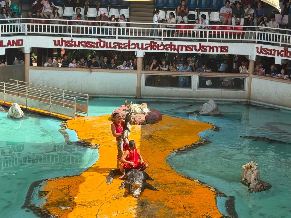Flu_keBT's tweet photo. ฟาร์มจระเข้สมุทรปราการ คนมาดูเยอะแล้ว ดีใจกับน้อนๆสัตว์ด้วยนะ มาดูกันเยอะครับ https://t.co/XqxQSt048a