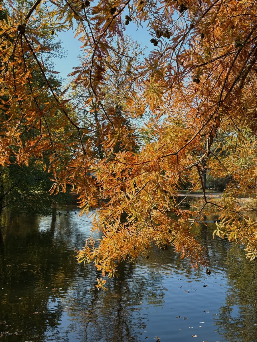 Fhchv11's tweet photo. End of fall https://t.co/Ps5ExGHV7g