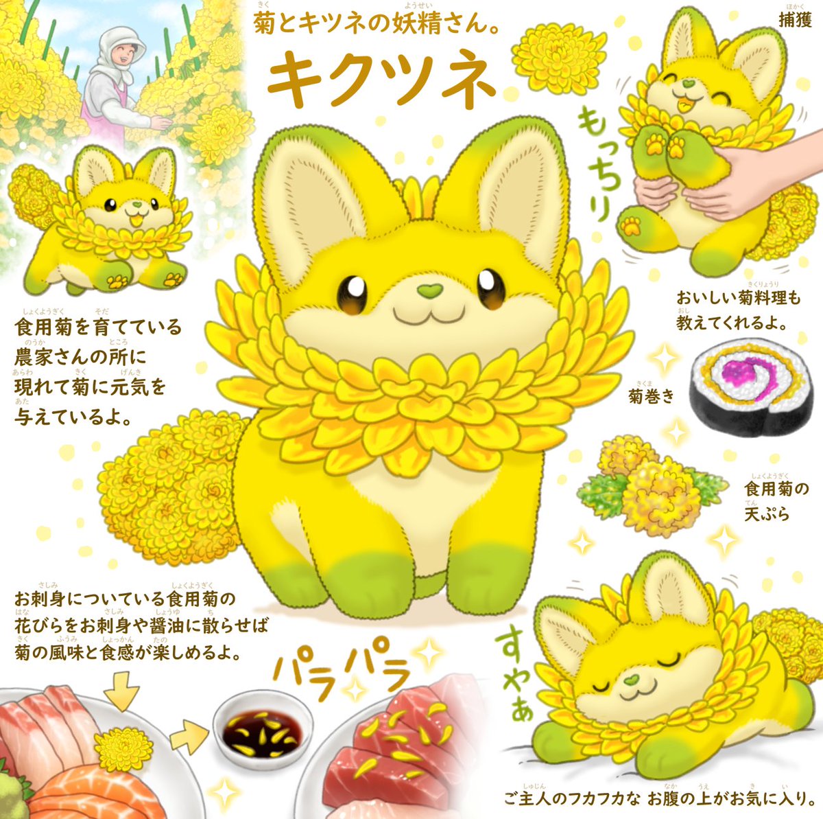 PonkichiM's tweet photo. 食べずに捨てられることが多い お寿司や刺身に添えられている菊は「食用菊」で 刺身や醤油に散らして食べるのが正しい作法の一つです。
殺菌・抗菌作用があるため 刺身の生臭さを消し、ビタミンEやポリフェノールを豊富に含み、目の疲れを癒す作用も知られていますので捨てずにぜひ食べてくださいね。 https://t.co/1UsgJlShYm
