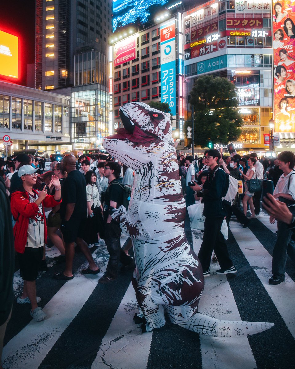AORacingUSA's tweet photo. Bushi Rex had a great time last night touring various spots in Tokyo! https://t.co/p2h9OMKEFt