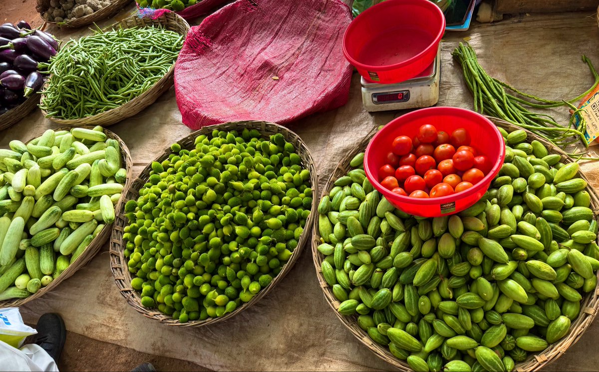 manas_muduli's tweet photo. Morning vegetable market.
How much kankada(spiny gourd) costs in your area? It’s Rs 200/kg in Bhubaneswar 752024 locality. https://t.co/eyS5BsQN95